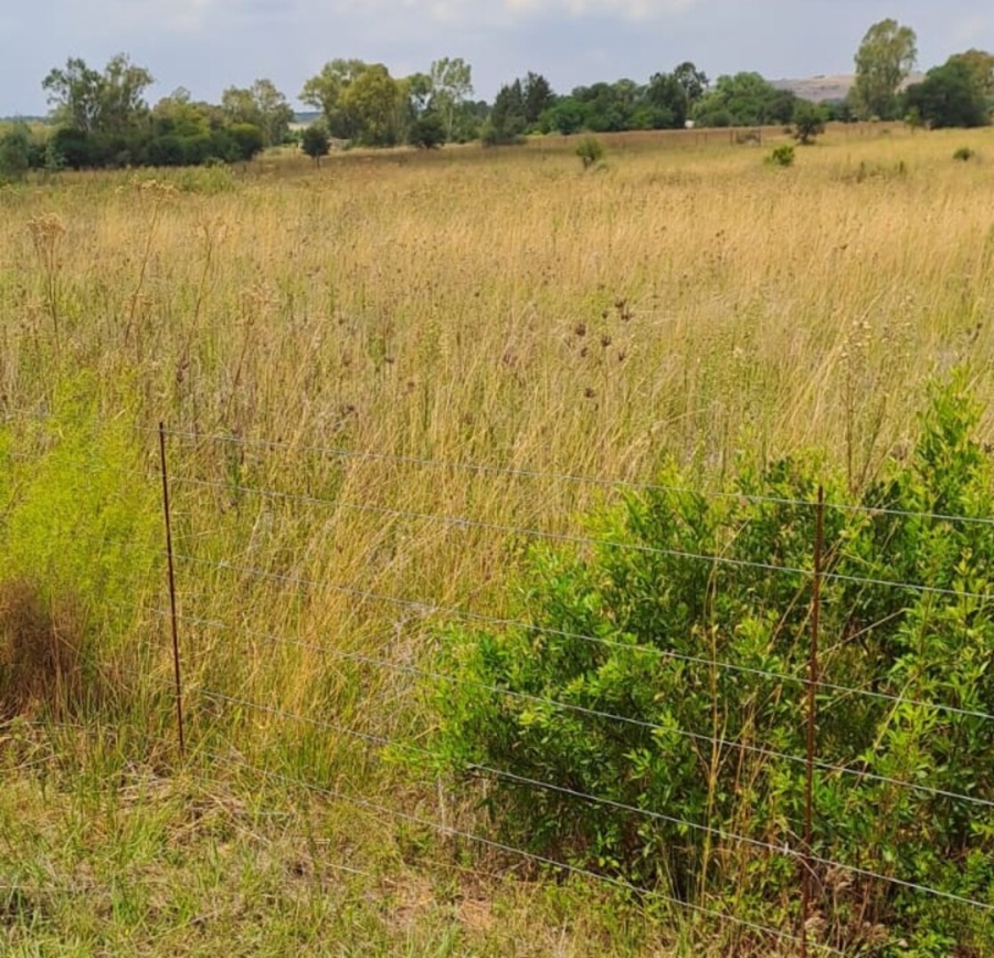 0 Bedroom Property for Sale in Lindequesdrif North West